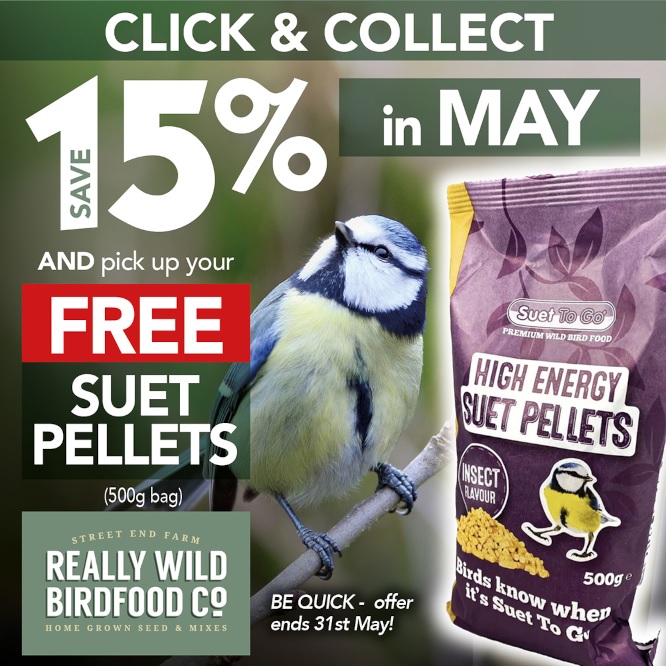 Click & Collect offer