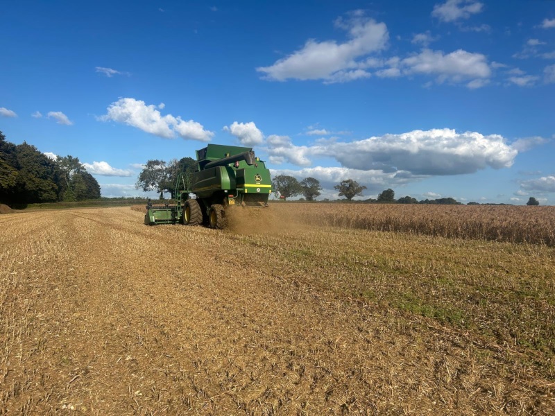 Combine harvester on the farm