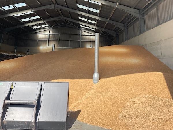 Grain store