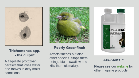 bird hygiene products