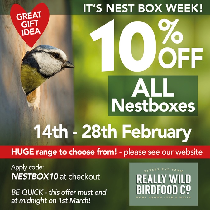 Nest Box offer