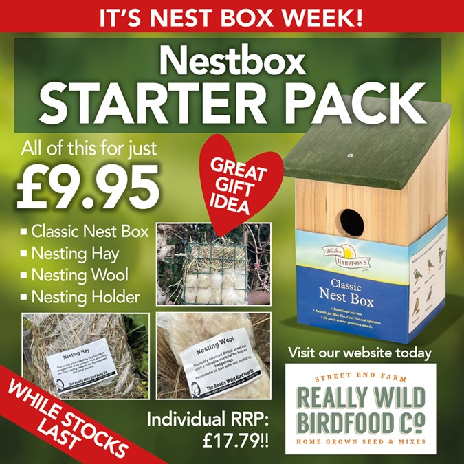 Nestbox starter pack