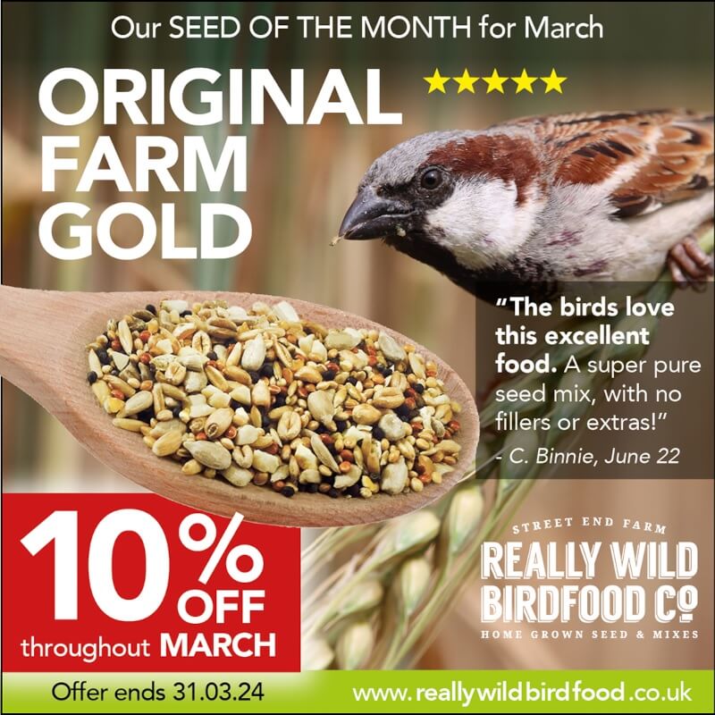 Original Farm Gold - Bird Seed Offer