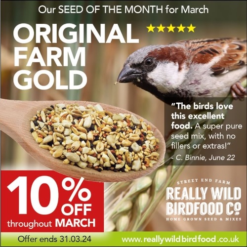 Seed of the Month: Original Farm Gold