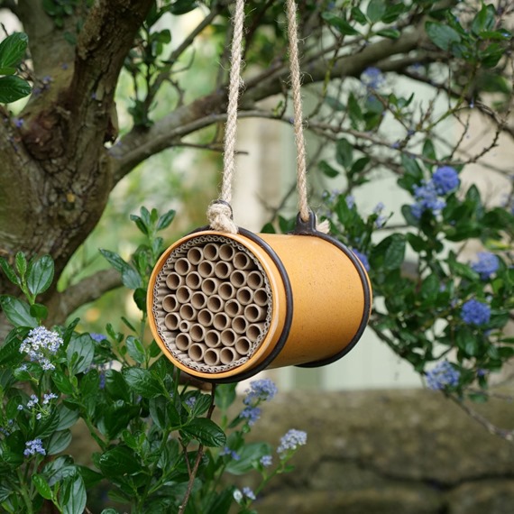 homes for bees
